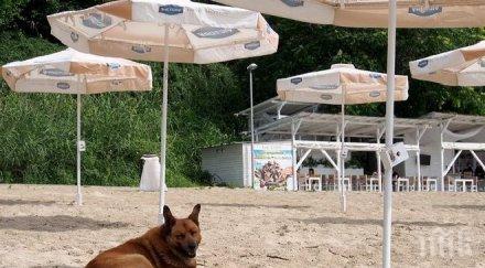 плажа нарушения проверките