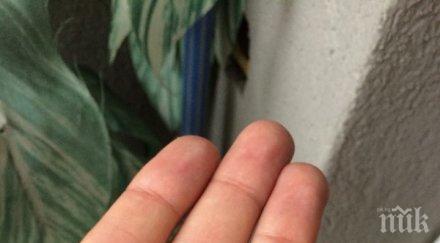 пак природни стихии добричко градушка гръмотевична буря