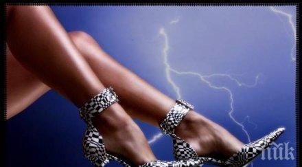 глад обущари часовникари