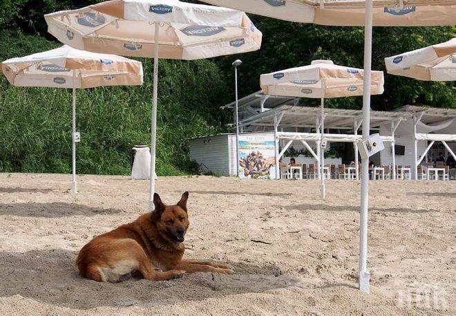 80 плажа с нарушения след проверките