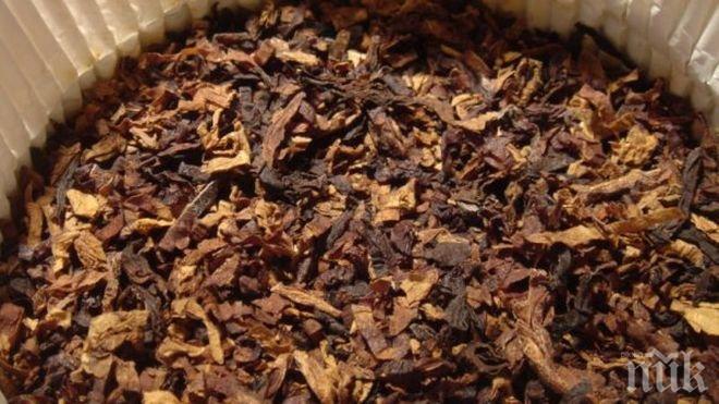 Разбиха нелегална фабрика за тютюн в Чепинци