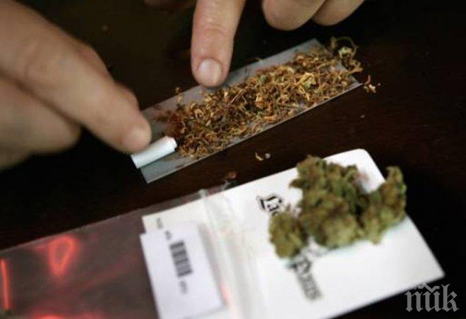 Рекордни продажби на легална марихуана