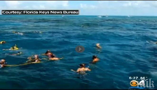 Концерт под водата? Такова нещо съществува! (видео)