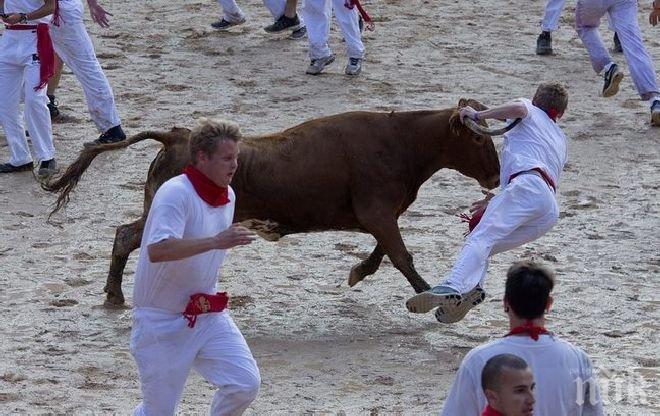 Традиционната гонитба с бикове рани още 7 души
