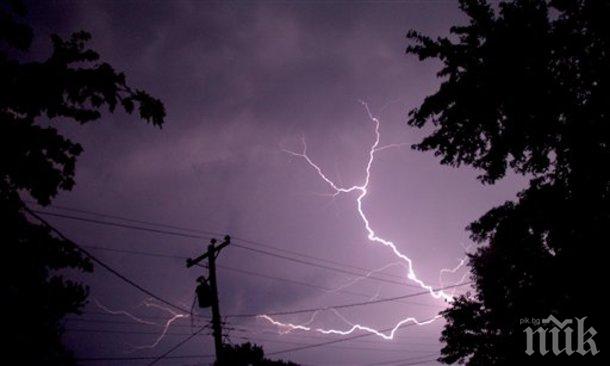 Дърво уби две деца по време на силна буря в Русия