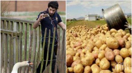 пик спонсор отбор предложи футболист фен лебедите 300 картофи заплата