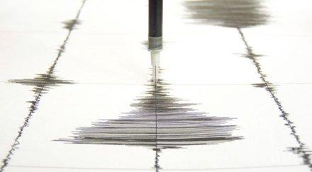 труса друснаха сащ