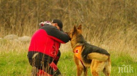 русе изгради зони свободно пуснати кучета