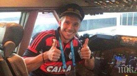 принц полди обясни любов фламенго