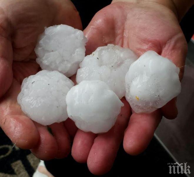 Градушките съсипаха над 1100 дка с пшеница и 429 дка със слънчоглед в Търговищко