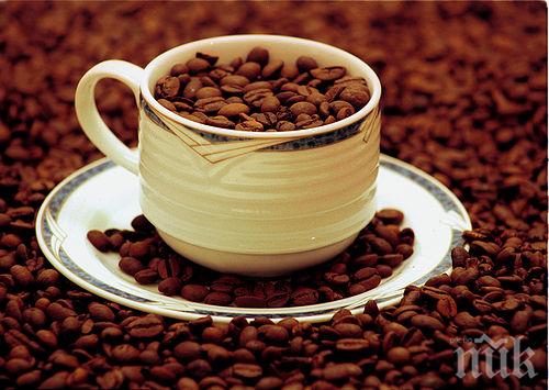 10 храни, които свалят килограми