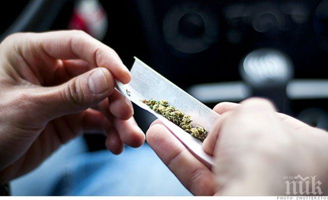 Условна присъда за 13 грама трева