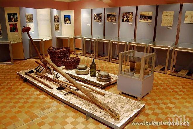 Праисторически находки ще красят Русенския исторически музей
