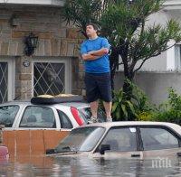 Осем души бедстват на пътя край Ропотамо
