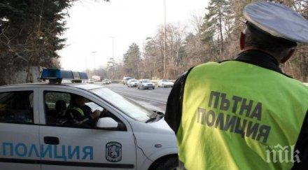 глобиха овчар дегизиран катаджия