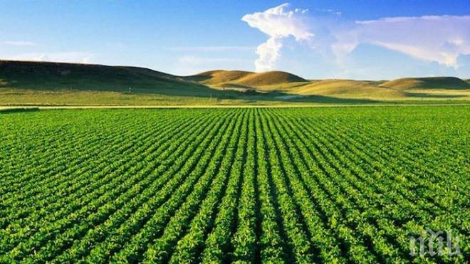 Супершоу! Фермер-стриптийзьор се вихри на полето (видео)