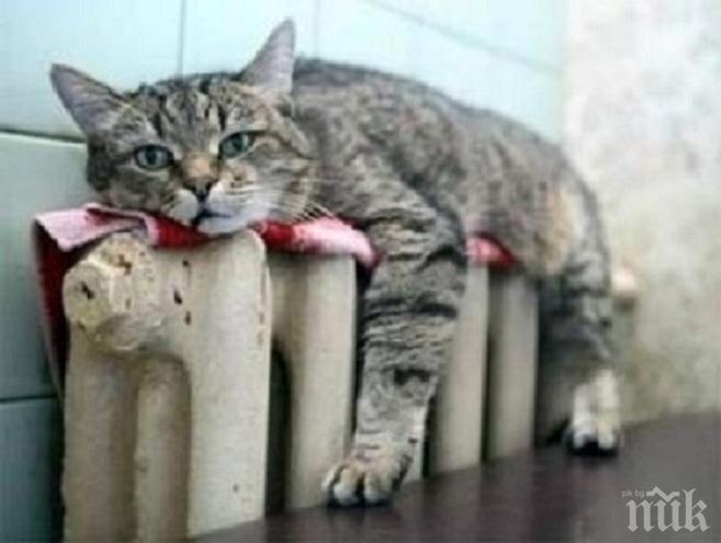 65,72 лв. ще бъде целевата помощ за отопление