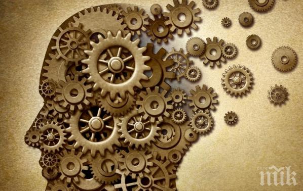 25 интересни факта от психологията, за които не подозирате