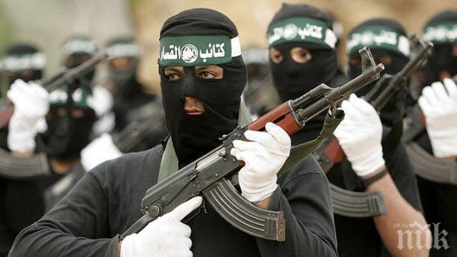 Хамас и Израел спират огъня в Ивицата Газа за пет часа