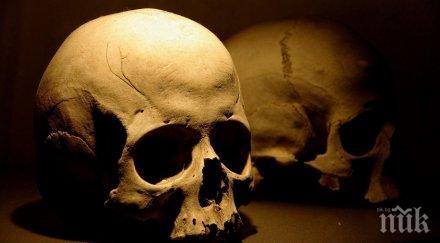 учени откриха мозък 8000 години