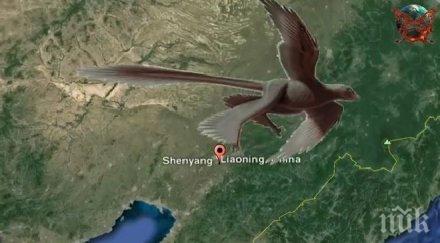 намериха динозавър четири крила