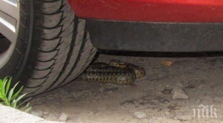 голям смок създаде паника центъра бургас