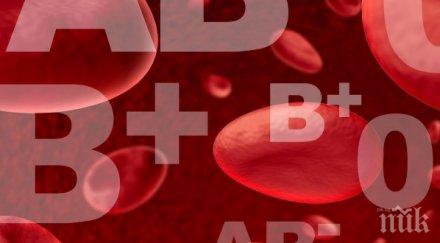 уникална зависимост кръвната група определя характера убедете