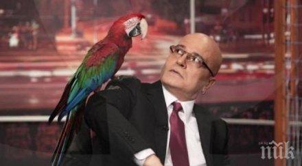 сензация слави гост предаването казва мартина сватбата къщите