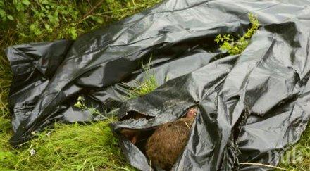 втори ден разчисти труповете около сваления самолет