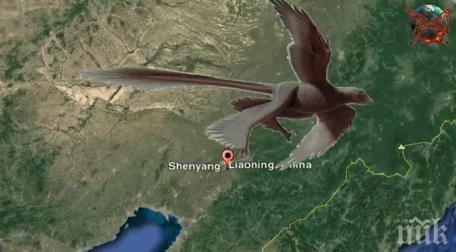 Намериха динозавър с четири крила
