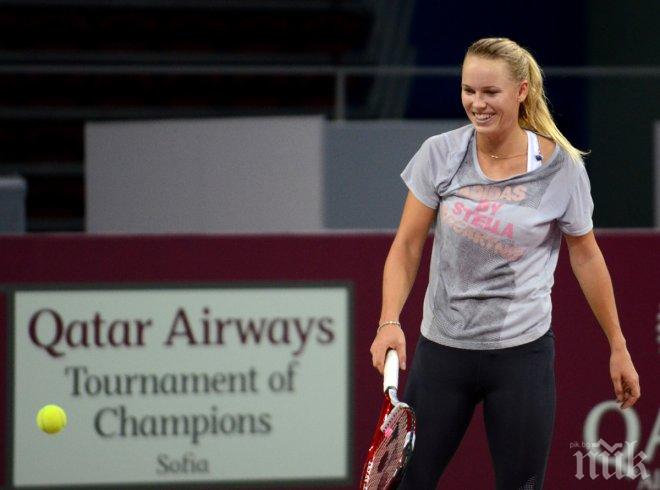 Вожняцки срещу Винчи на финала в Истанбул