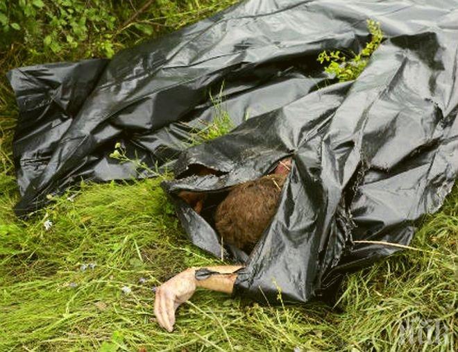 Втори ден няма кой да разчисти труповете около сваления самолет