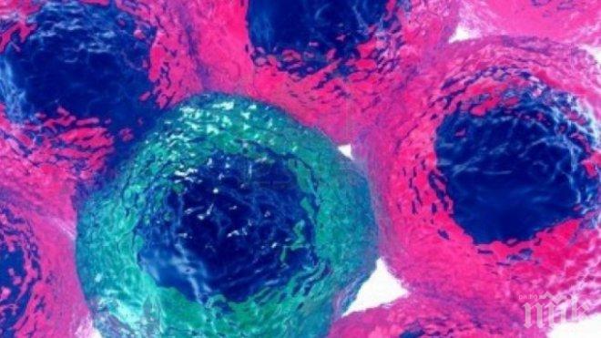 Тропически вирус тръшнал 60 000 души в Хаити