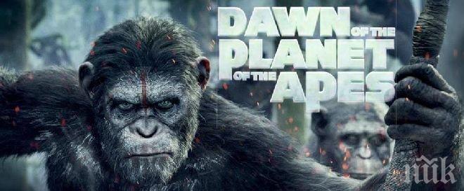 Планетата на маймуните е най-гледаният филм в родните кина
