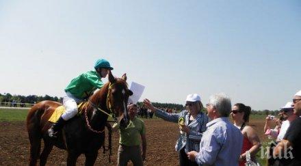 принцесата йордания идва юбилея конния спорт нас