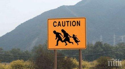 200 арестувани сащ операция нелегалната имиграция