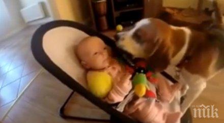 невероятно гузно куче извинява разплакано бебе видео