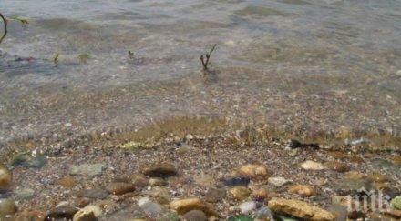 обезвредиха опасна морска мина