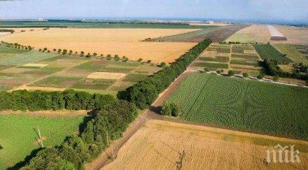 жена измами брат сестра продаде имота бона