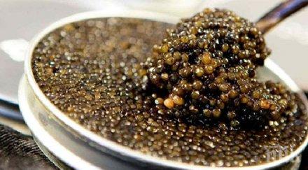 скъпите храни света снимки