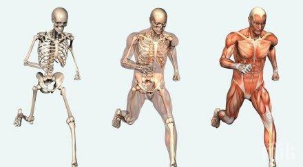 подчинете тялото стресови ситуации изумителни трика контрол
