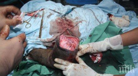 агенцията трансплантации българия човешки органи черно продават