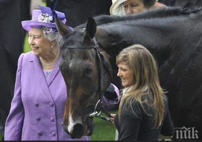 Шок! Хванаха коня на кралица Елизабет II с допинг