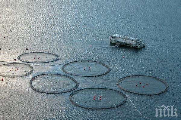 „Брезнишки извор“ става акваферма