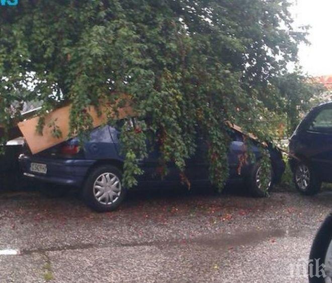 Вижте как софиянци пазят колите си, след като се наплашиха от градушка (снимка)