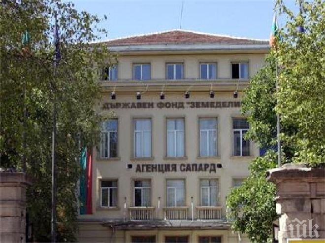 Фонд Земеделие приема заявления за помощ за оризопроизводителите
