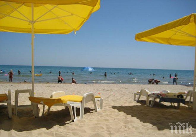 Мъртви плъхове сеят зарази на плажа