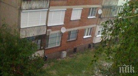 застраховател удължи срока завеждане щети градушката софия