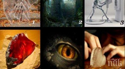 определете точно характера ценностите направете лесен личностен тест