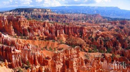 рекордна жега опустошава сащ